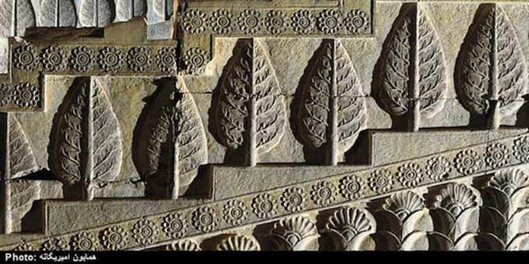 8 درخت و گیاه مقدس ایران باستان | هنداکو