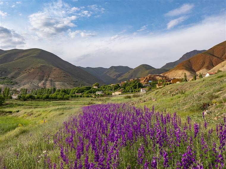 روستای چاشم